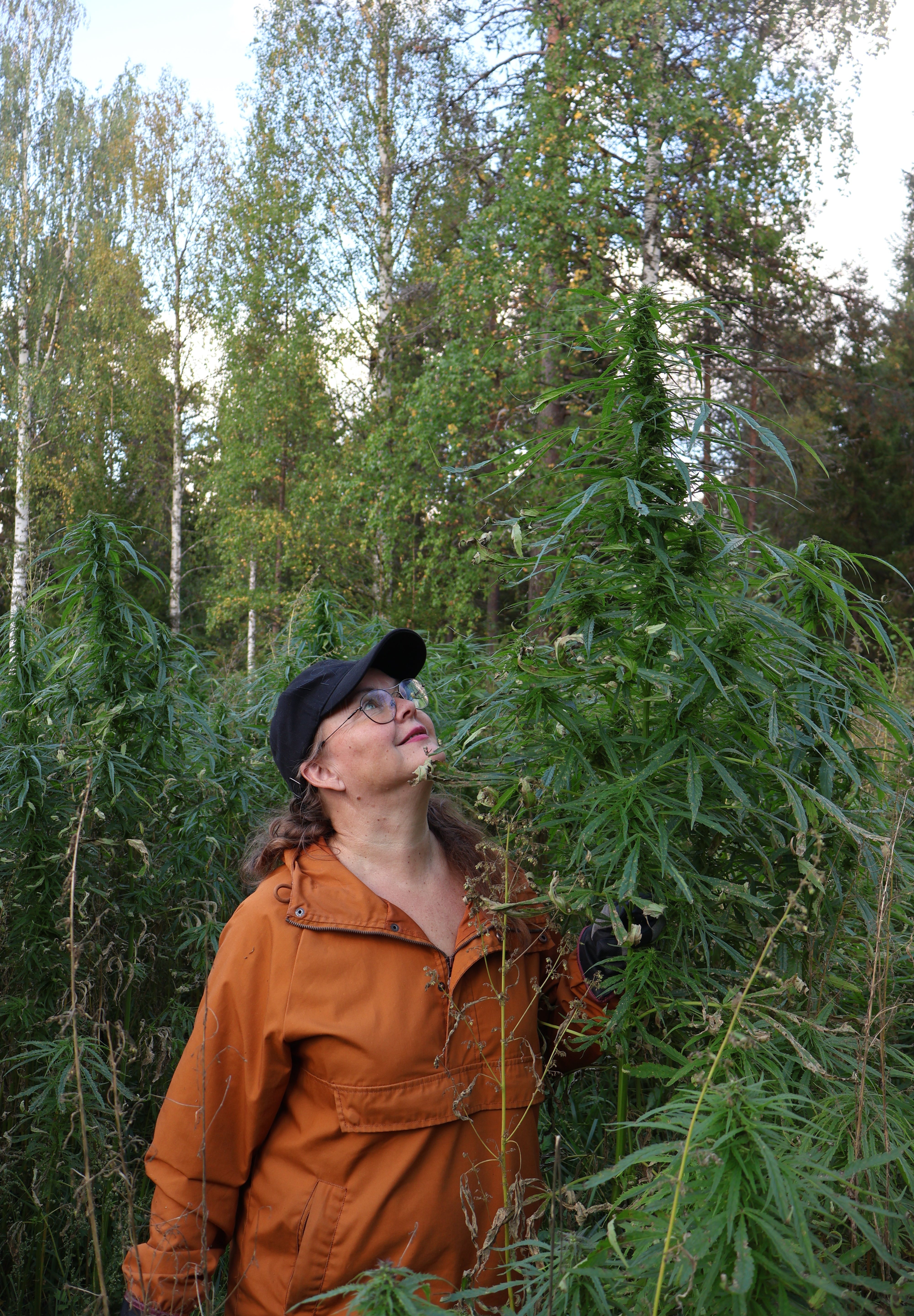 Hamppu ihonhoidossa - miksi se toimii niin tehokkaasti?