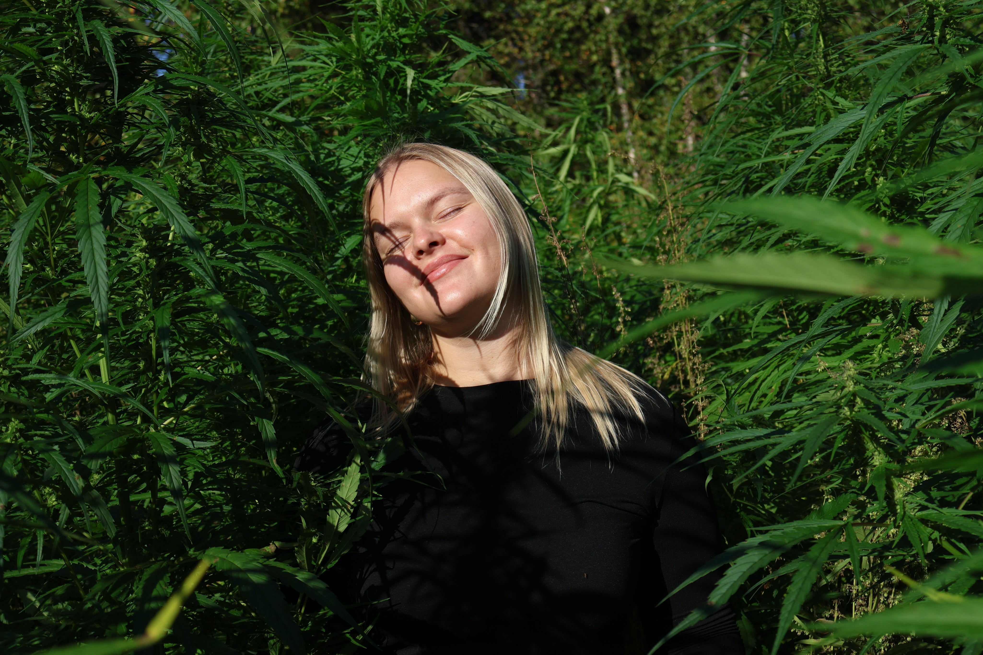 Miksi hamppu on ihonhoidon aliarvostettu superkasvi?