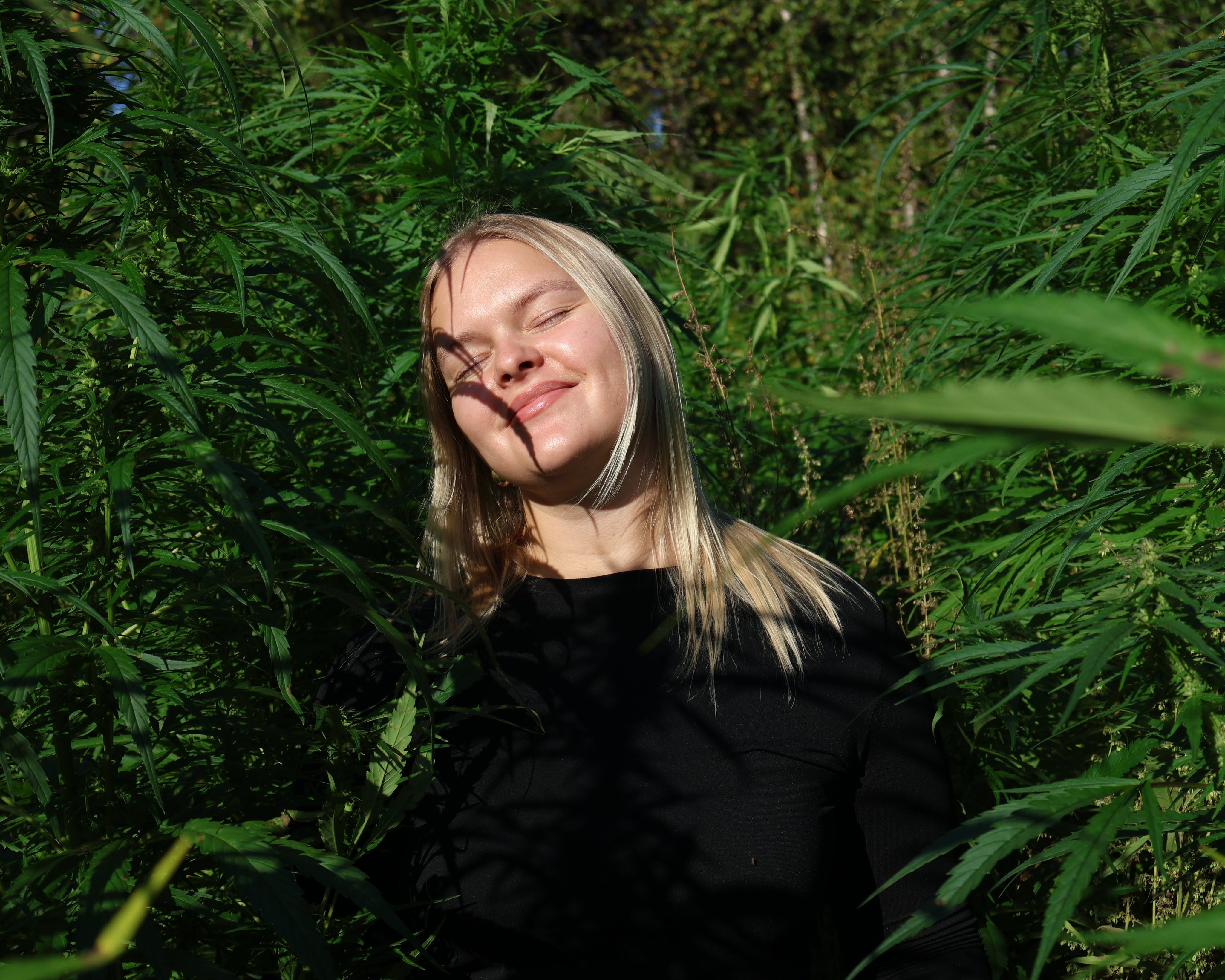 Miksi hamppu on ihonhoidon aliarvostettu superkasvi?