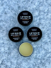 Wilderness Huulivoide - Arktiset yrtit & CBD