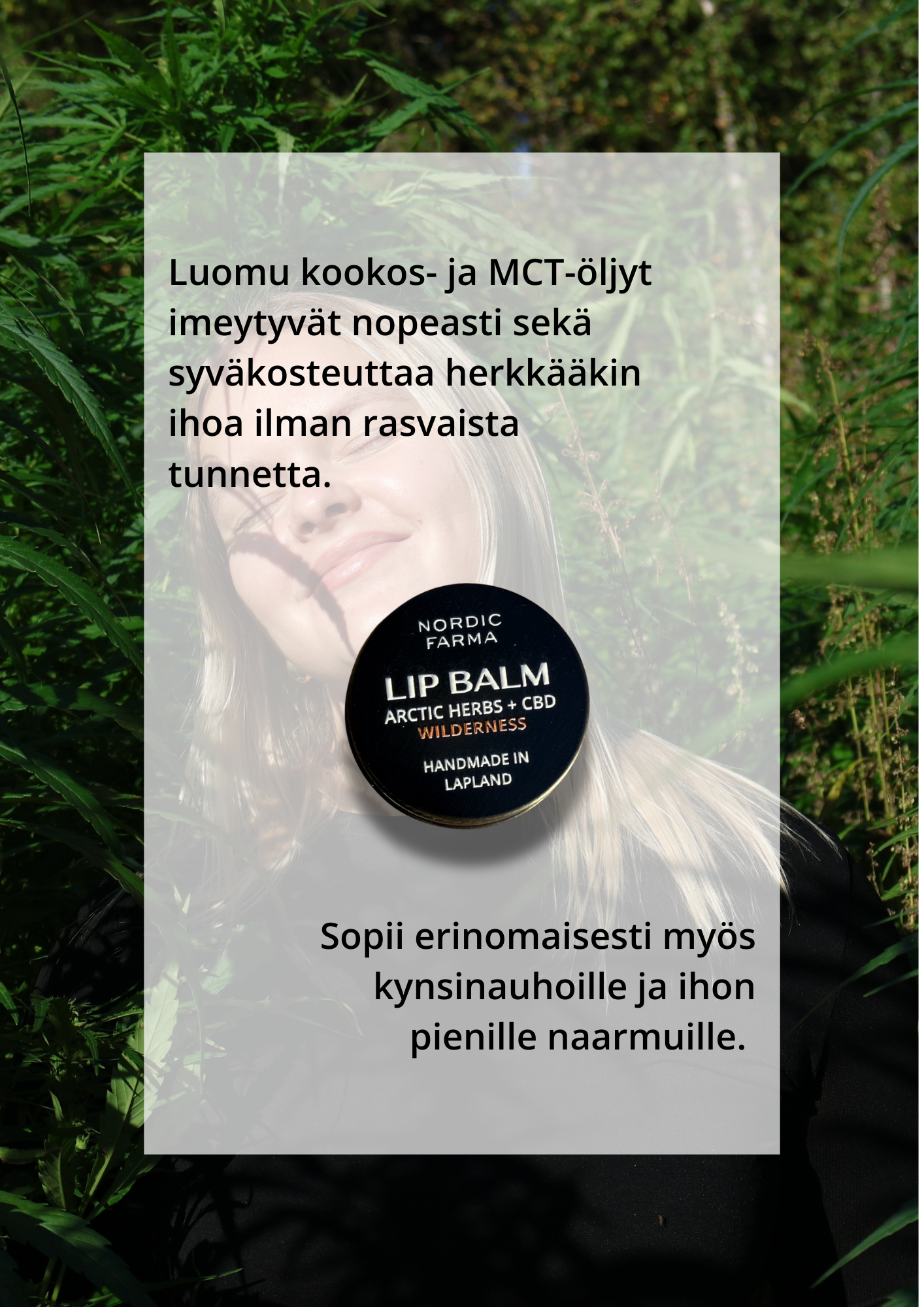 Wilderness Huulivoide - Arktiset yrtit & CBD