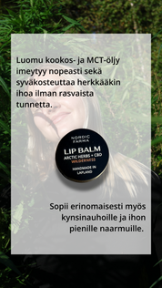 Wilderness Lip Balm - Arctic Herbs &amp; CBD